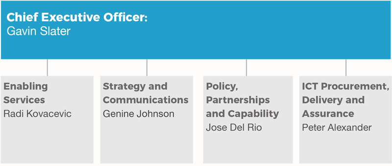 Organisation structure of the DTA executive as at June 30, 2017. Chief Executive Officer Gavin Slater, Enabling Services Radi Kovacevic, Stretegy and Communications Genine Johnson, Policy, Partnerships and Capability Jose del Rio, ICT Procurement, Delivery and Assurance Peter Alexander