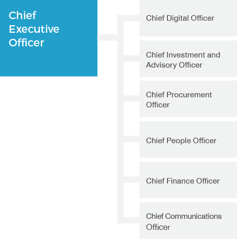 Organisation chart for the Digital Transformation Agency as at 30 June 2018. It shows the Chief Executive Officer at top, with the positions Chief Digital Officer, Chief Investment and Advisory Officer, Chief Procurement Officer, Chief People Officer, Chief Finance Officer and Chief Communications Officer.