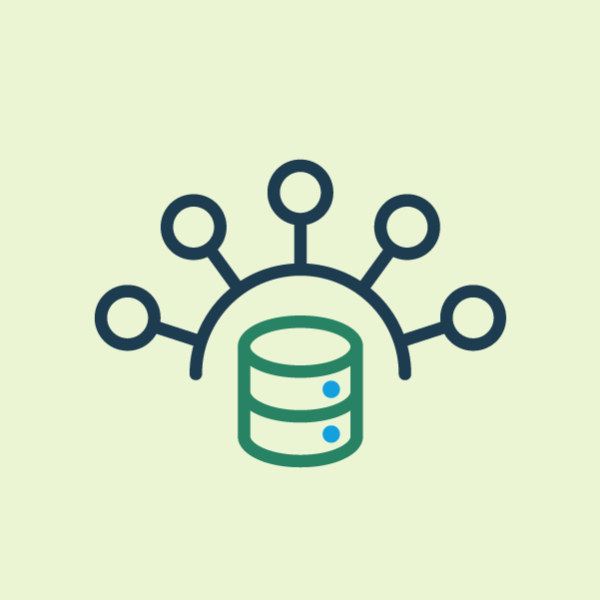 Data and Digital Cadet Program